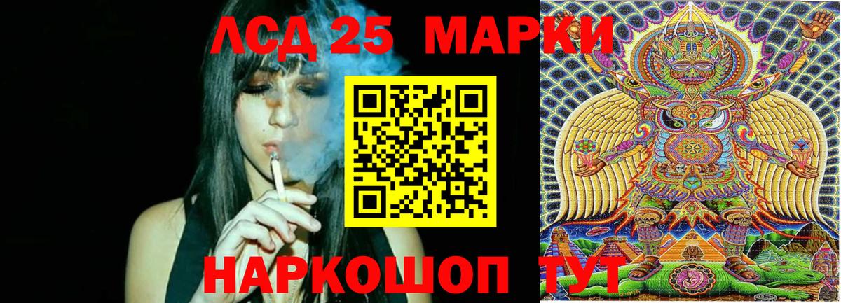 Псилоцибиновые грибы Коркино