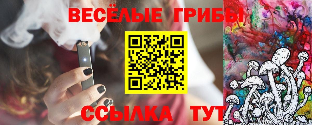 Галлюциногенные грибы MAGIC MUSHROOMS  Вход с VPN  Коркино 